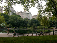 Central Park and the Met